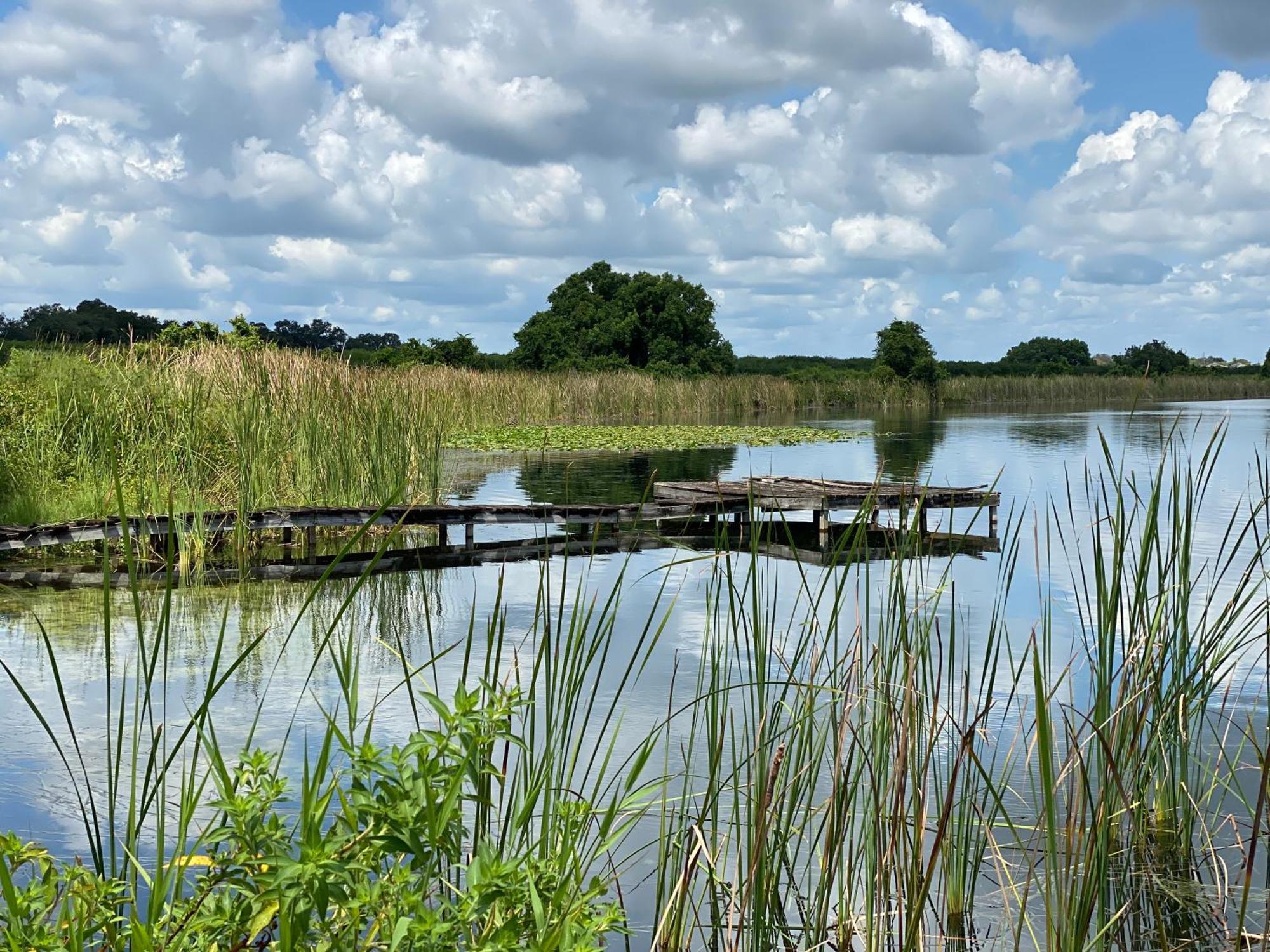 Lake Alfred The Scandinavian Contemporary Blauw מראה חיצוני תמונה